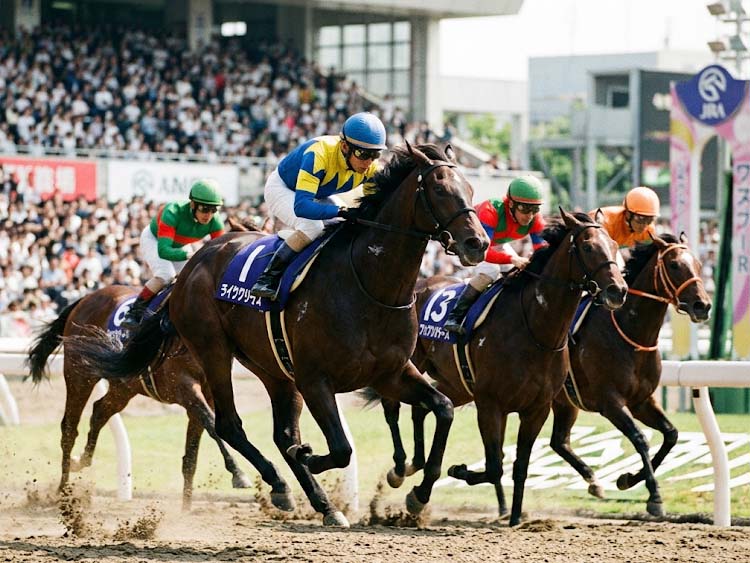 中央競馬 出馬表